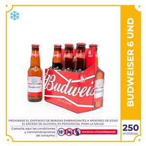 Cerveza  Budweiser botella 250ml x 6