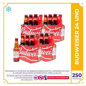Budweiser botella 250ml x 24